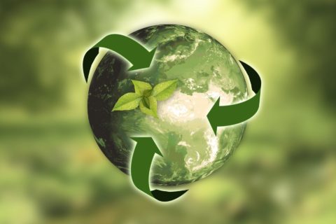 Zum Artikel "Out of the Box: Ökologische Nachhaltigkeit und kulturelle Resilienz für ein grünes Europa"