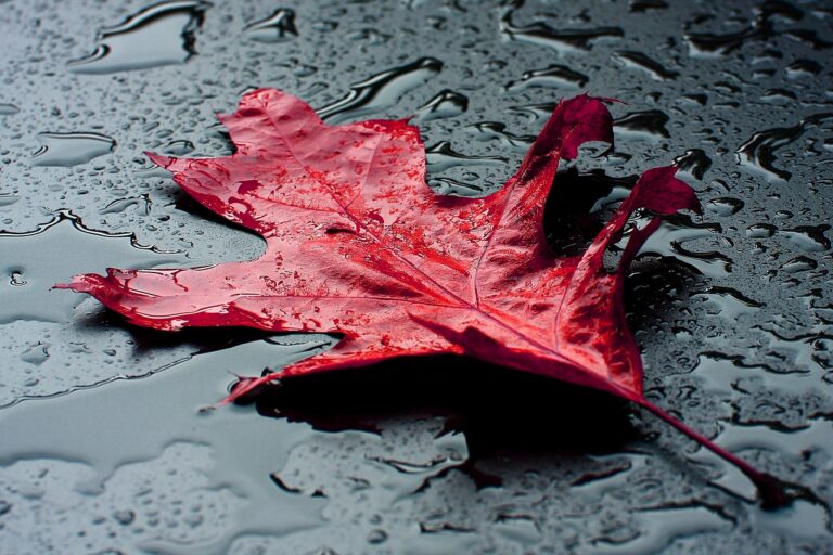 Dialogworkshop „Nachhaltigkeit und planetare Zukünfte als erziehungswissenschaftliche Transformationsherausforderung“ wird zum Nukleus einer neuen DGfE AG